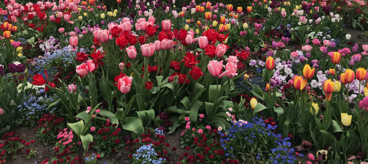 🌸 Spring Cleaning Your Closet 🌸